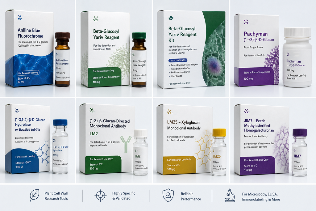 (1-3;1-4) -beta-glucan-directed monoclonal antibody